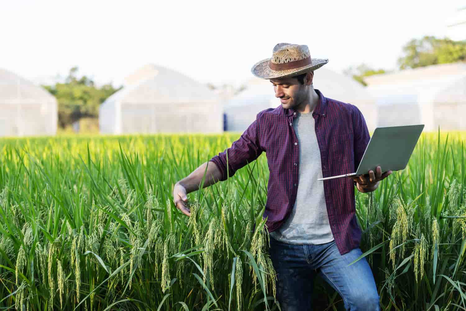 Holding Rural (2) (1) - Holding Contabilidade